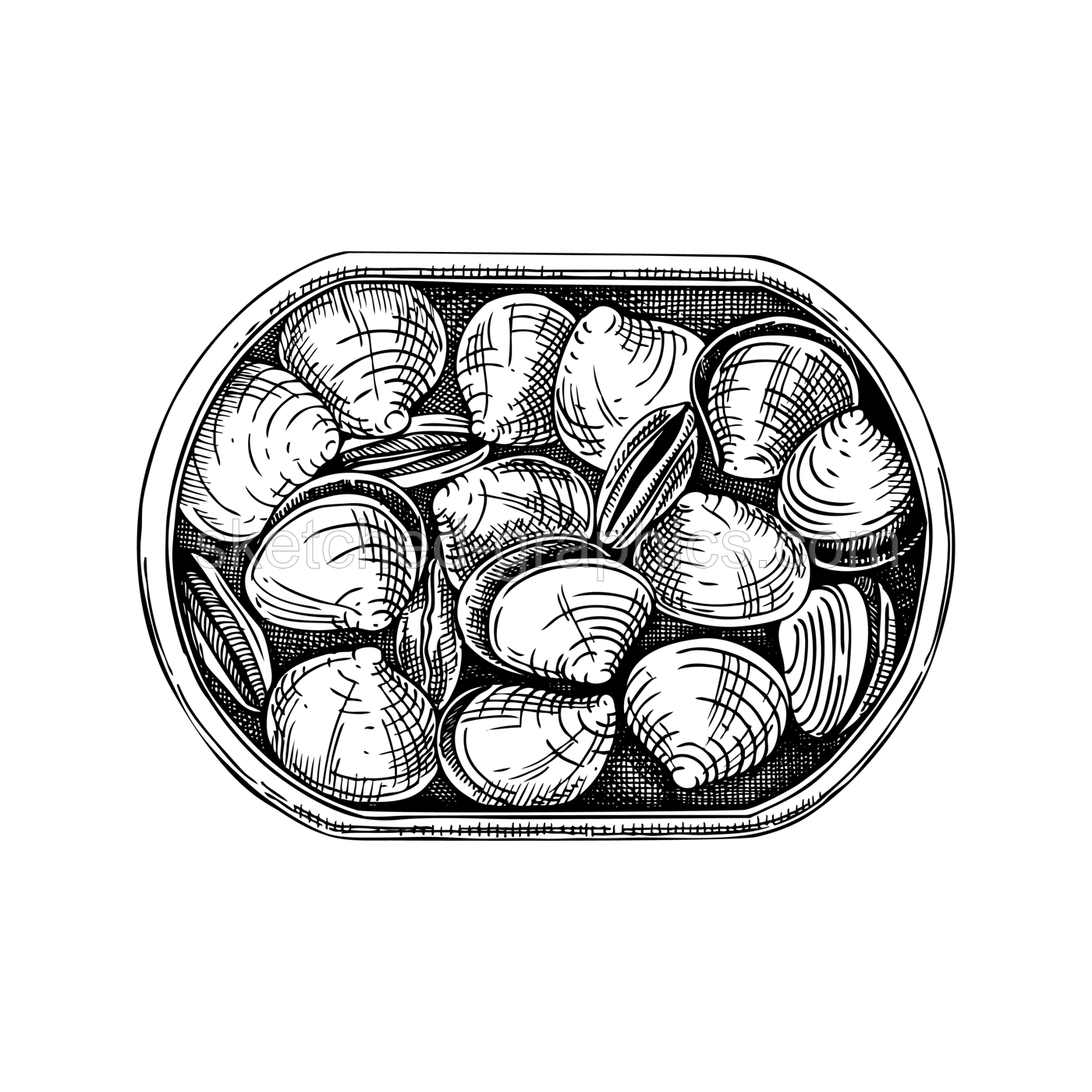 Canned clam shells in opened tin can illustration. Tinned seafood vector drawing. Hand drawn edible marine mollusks sketch isolated on vintage background. Shellfish for menu, recipes, logos, flyer Illustration